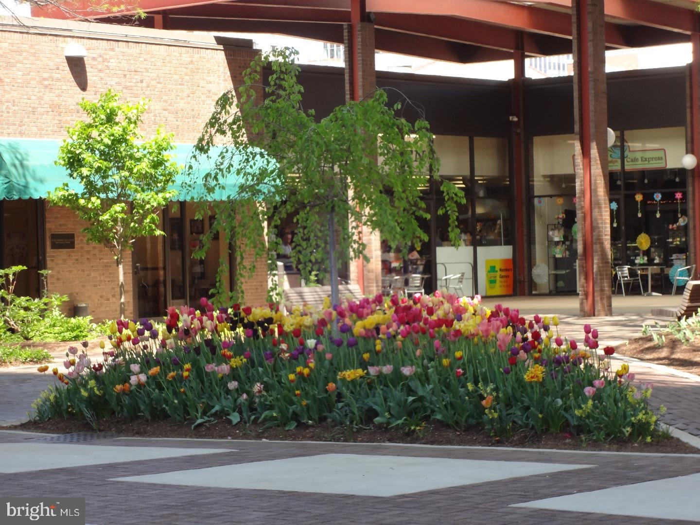 SOCIETY HILL - Residential