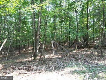 SLIM CHANCE ACRES - Land