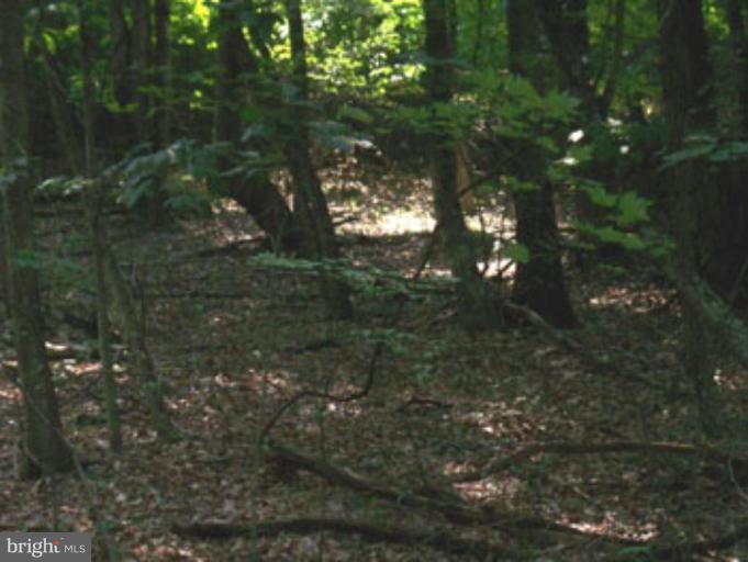 SLIM CHANCE ACRES - Land