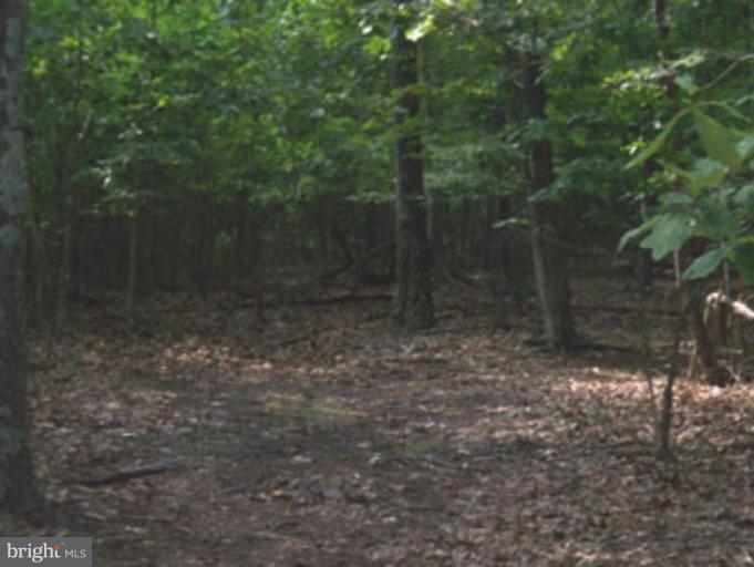 SLIM CHANCE ACRES - Land