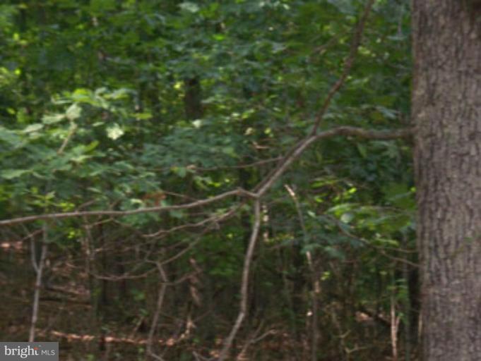 SLIM CHANCE ACRES - Land