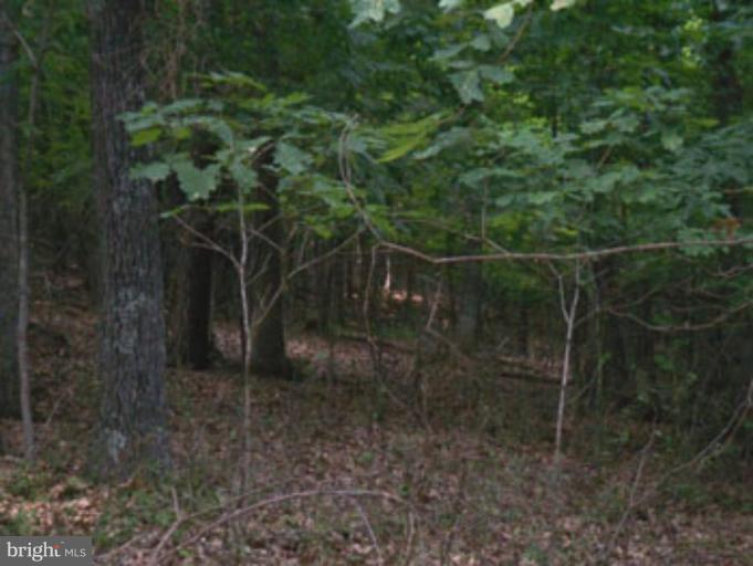 SLIM CHANCE ACRES - Land