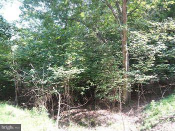 SLIM CHANCE ACRES - Land