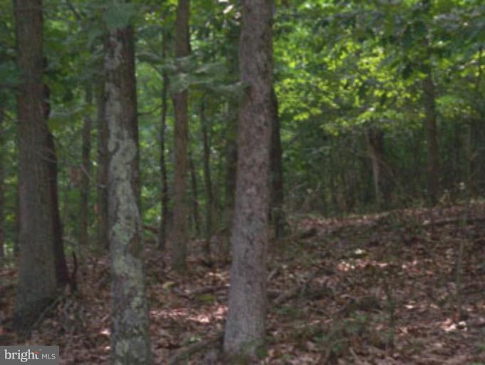 SLIM CHANCE ACRES - Land