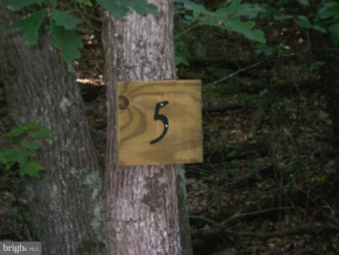 SLIM CHANCE ACRES - Land