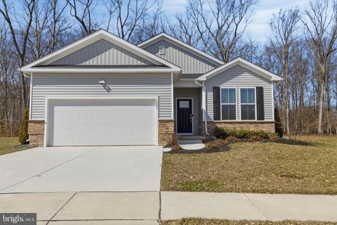 1001 SHANNON FALLS DRIVE NEWARK DE 19702