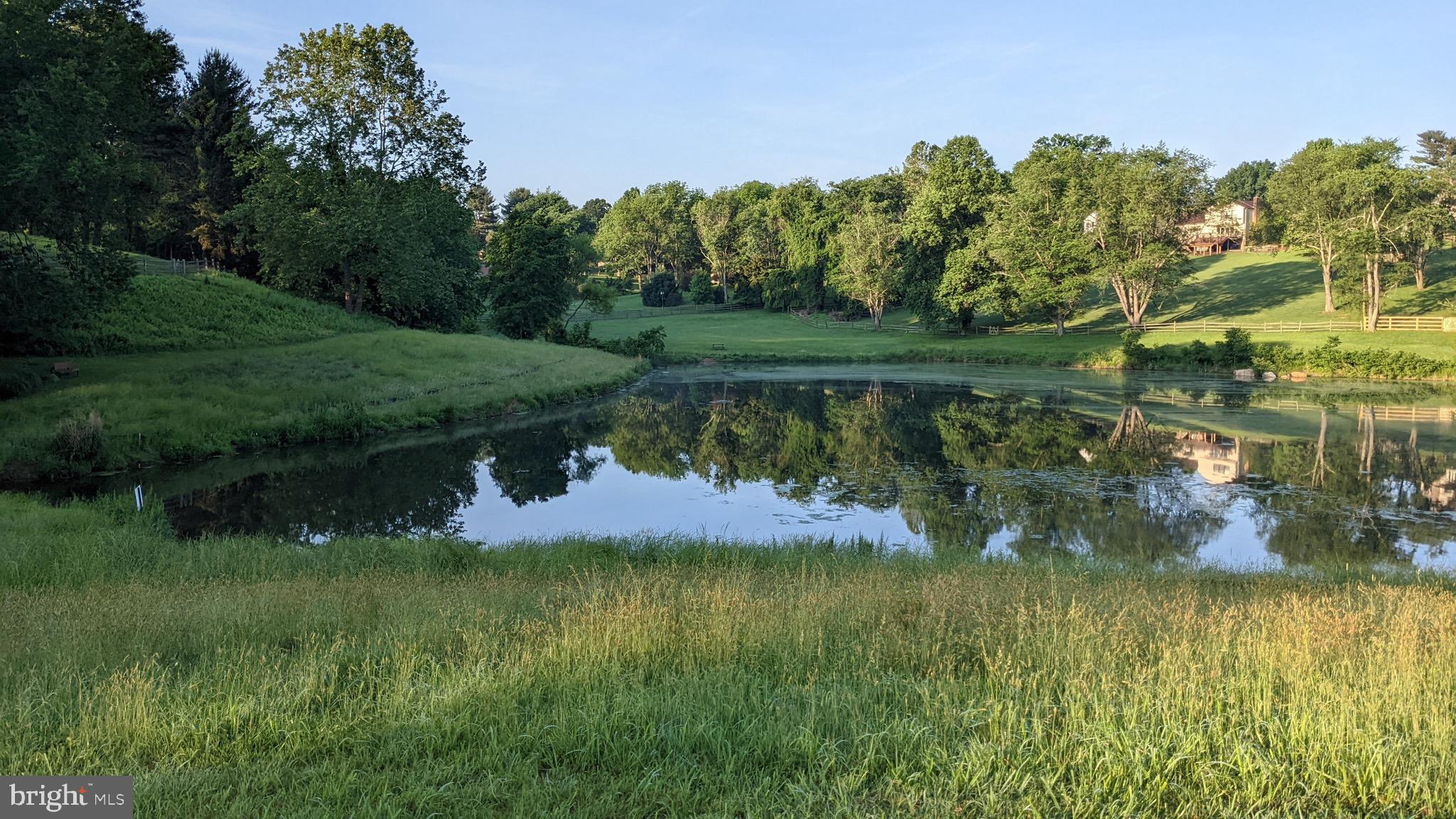 ANCIENT OAK - Residential