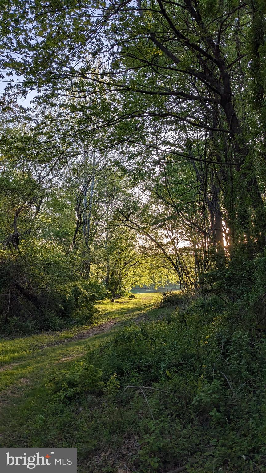 ANCIENT OAK - Residential