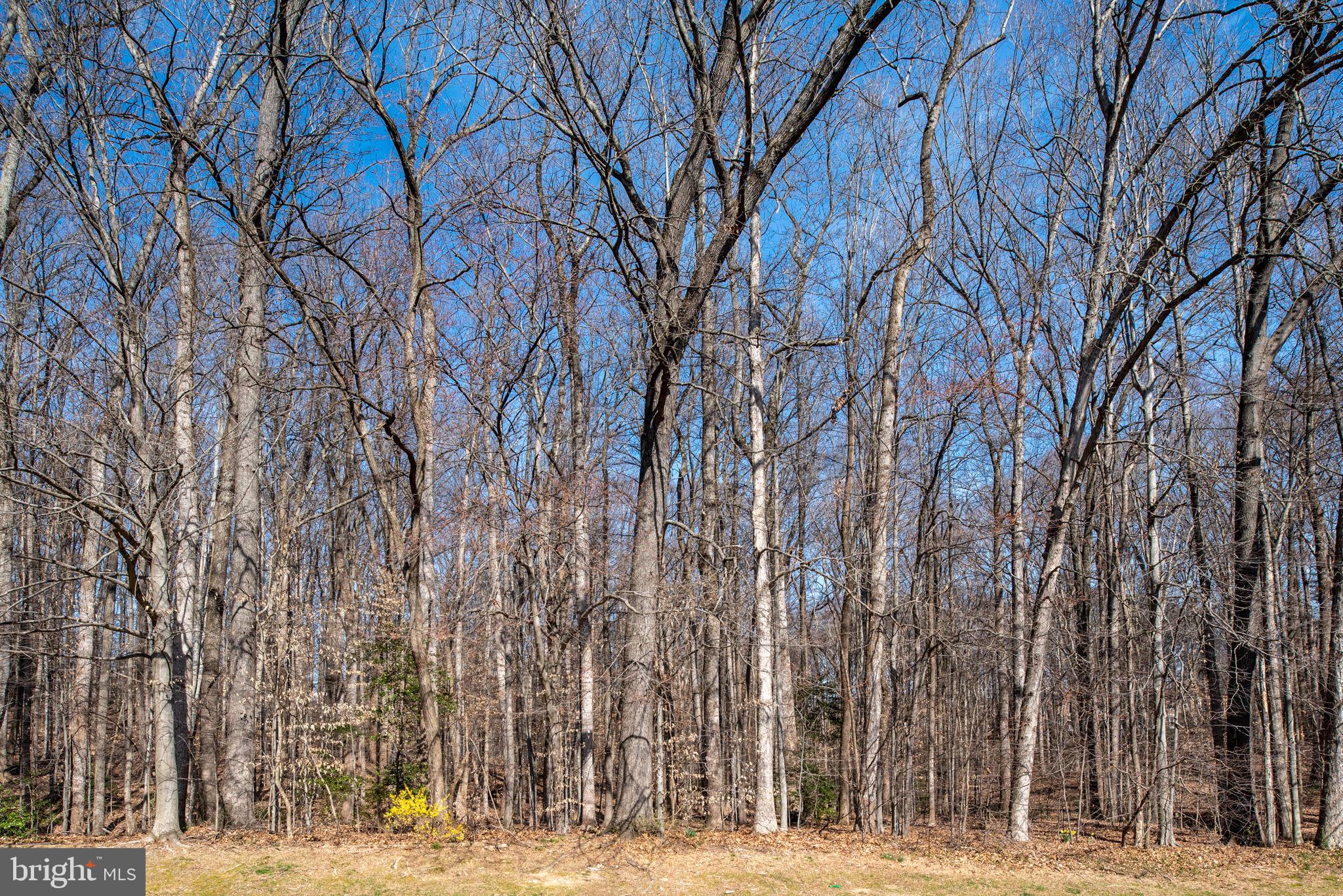 KEENE MILL VILLAGE - Residential