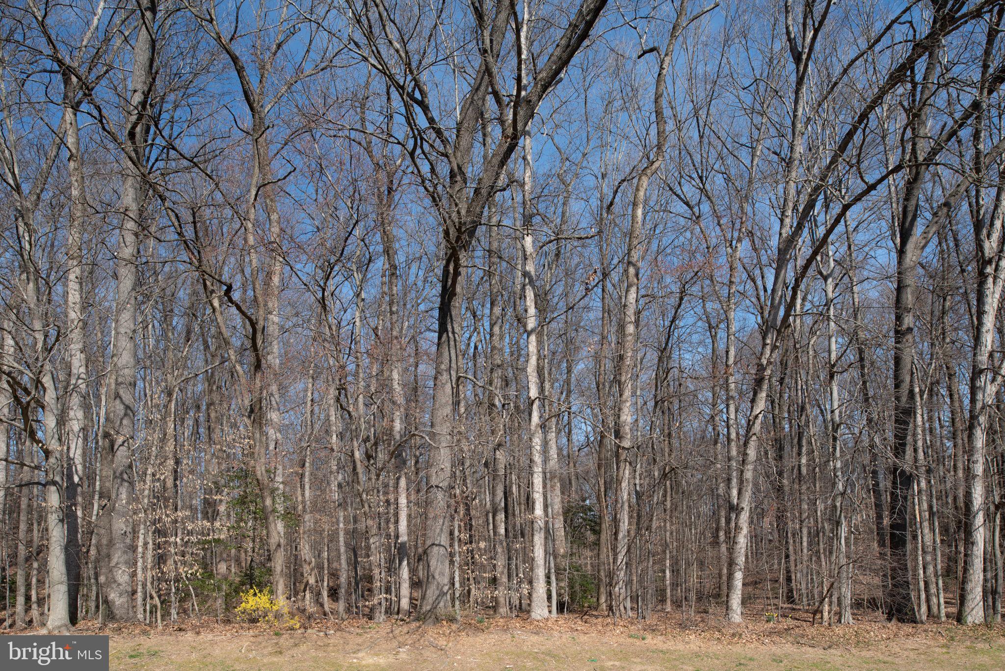 KEENE MILL VILLAGE - Residential