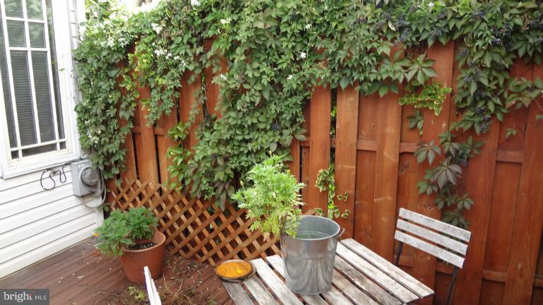 WASHINGTON VILLAGE - Residential