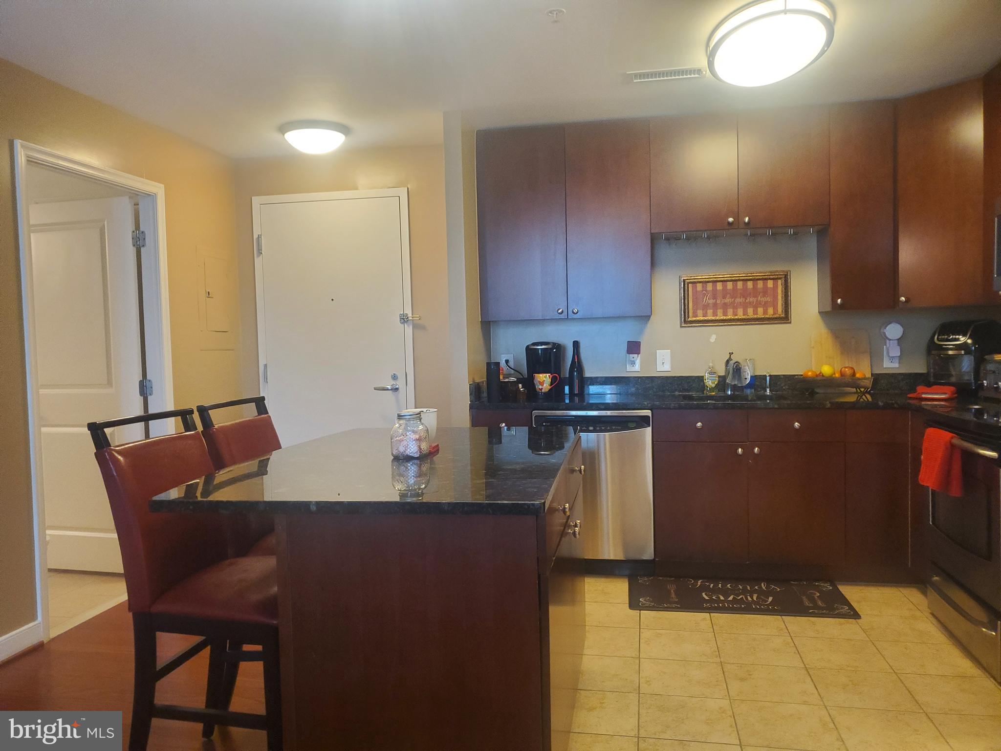 155 POTOMAC PASSAGE 517