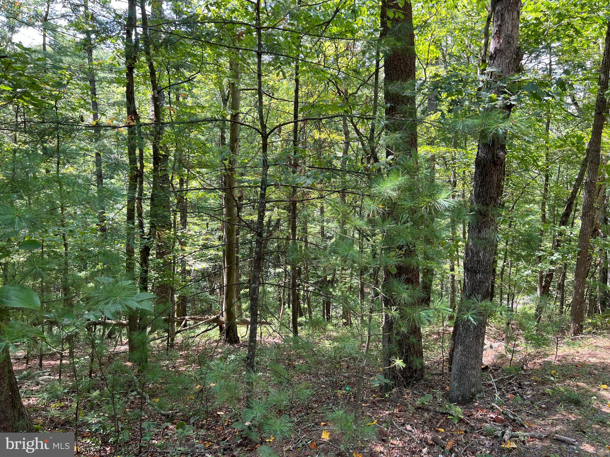 BRYCE  MOUNTAIN  RESORT - Land