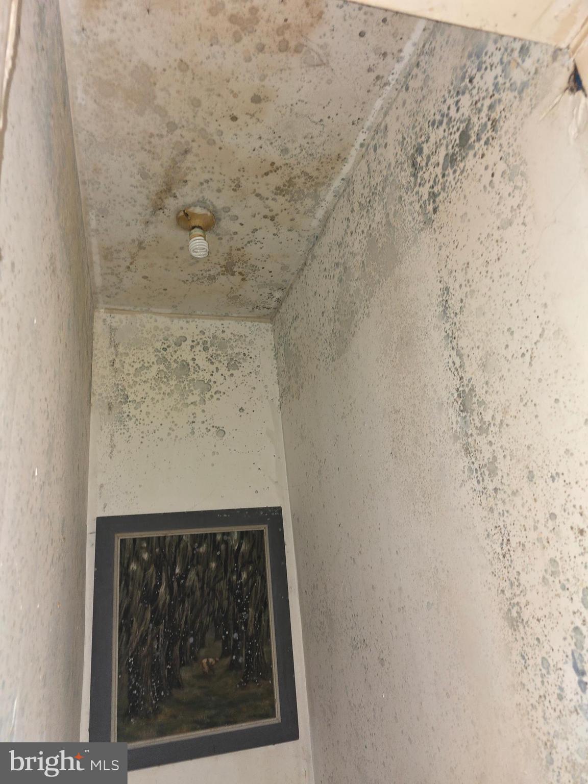 HARBOR VIEW - Residential