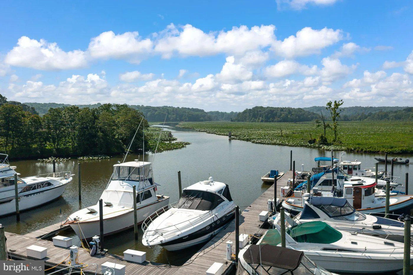 Stafford, Virginia 22554, United States, 4 Bedrooms Bedrooms, ,3 BathroomsBathrooms,Residential,Contingent,127659