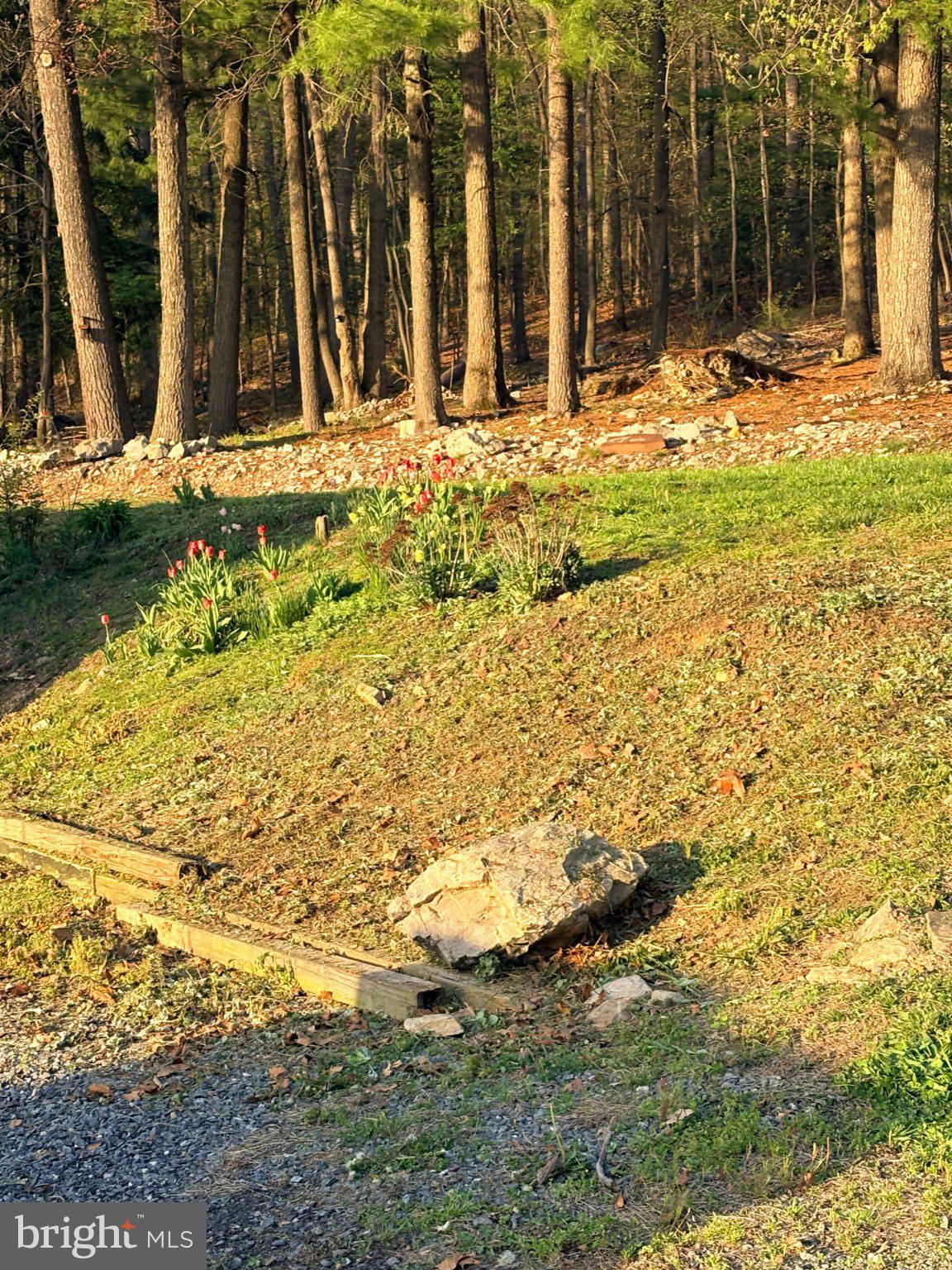 WAYNESBORO - Residential