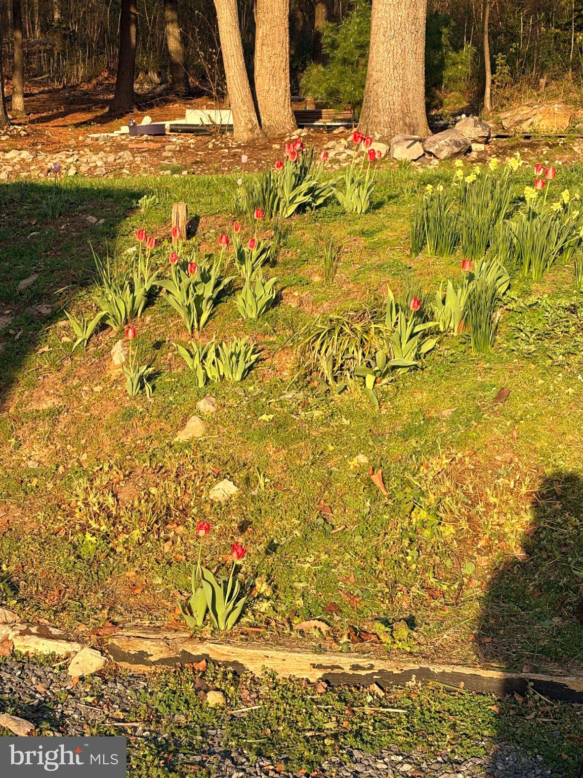 WAYNESBORO - Residential