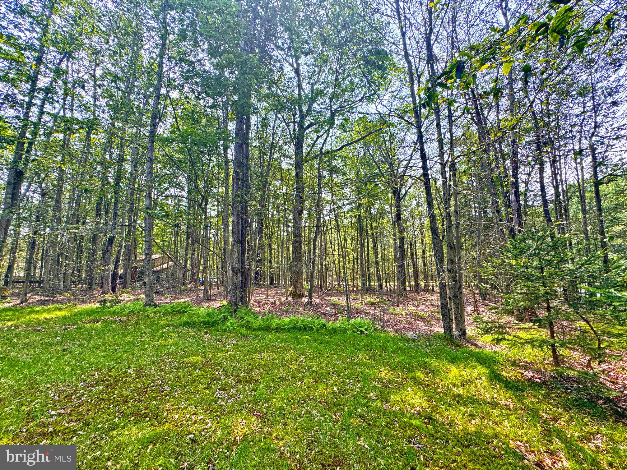 ARROWHEAD  LAKES - Residential