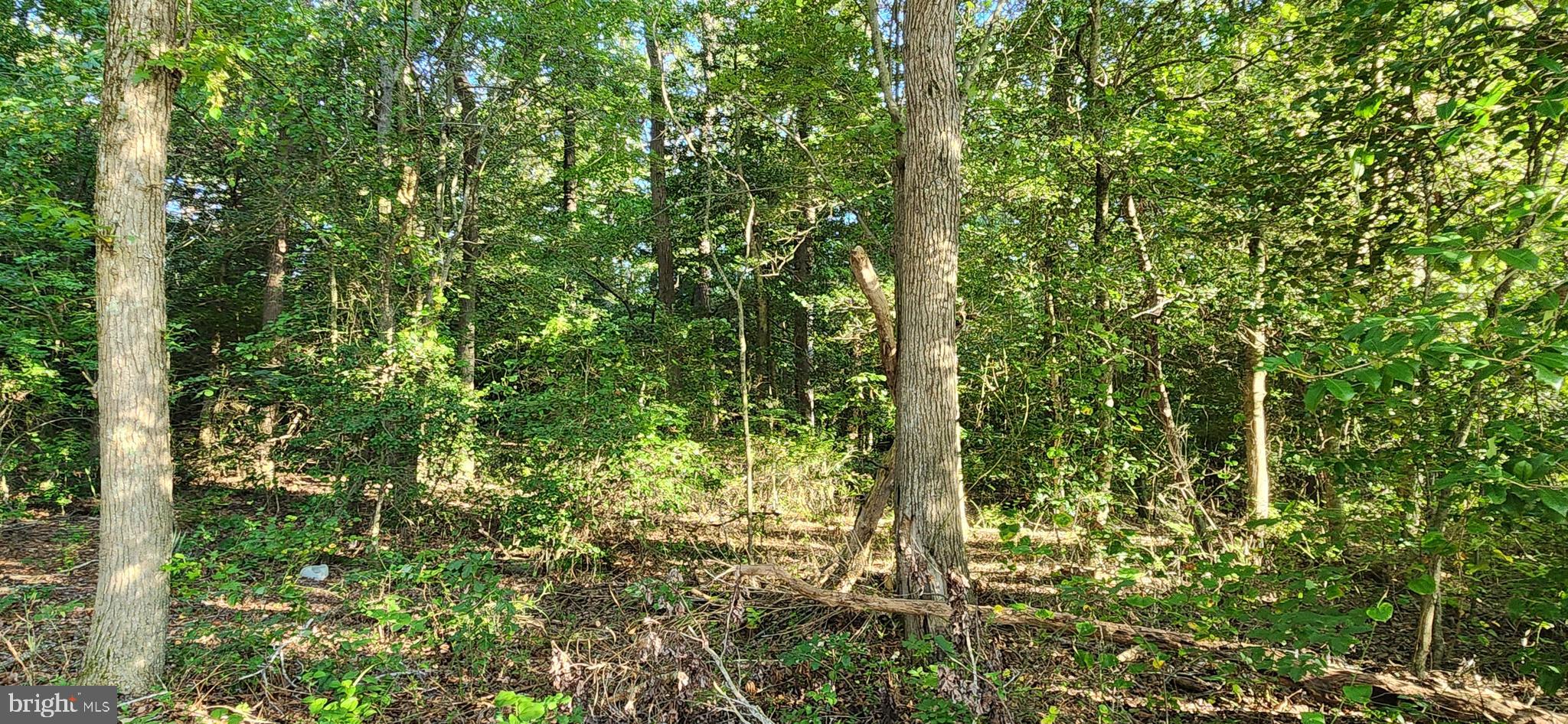 LOT 19 BRANDYWOOD LANE