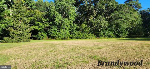 LOT 19 BRANDYWOOD LANE SALISBURY MD 21801