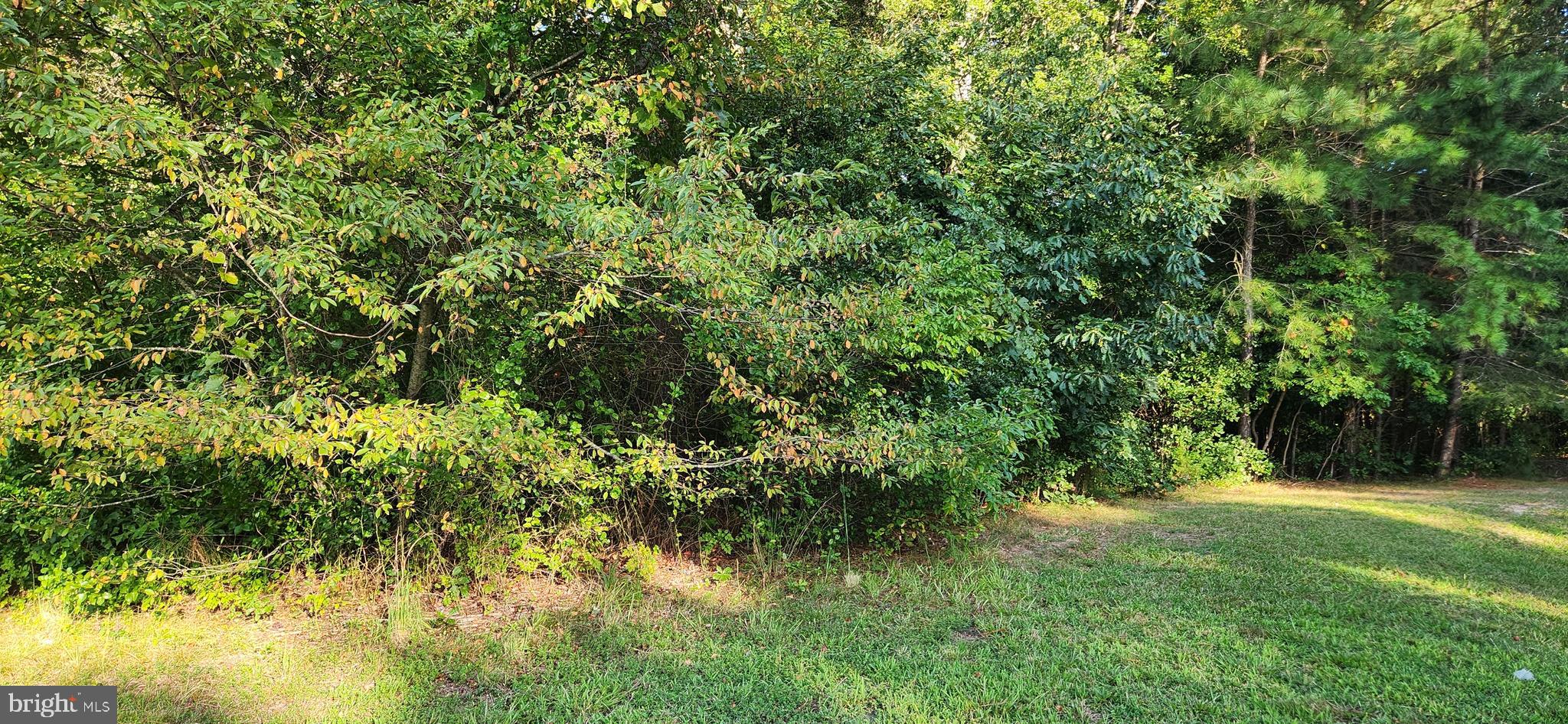 LOT 19 BRANDYWOOD LANE