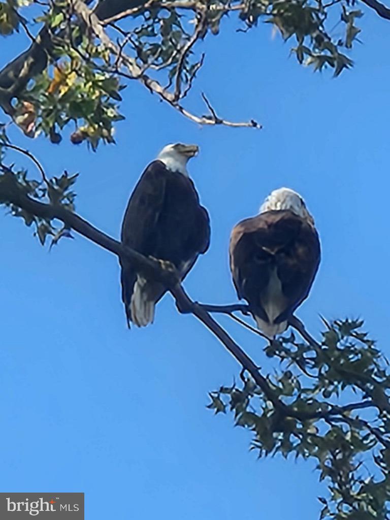 TWIN RIVER BEACH - Residential