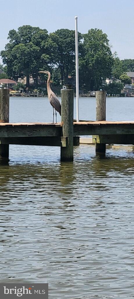 TWIN RIVER BEACH - Residential