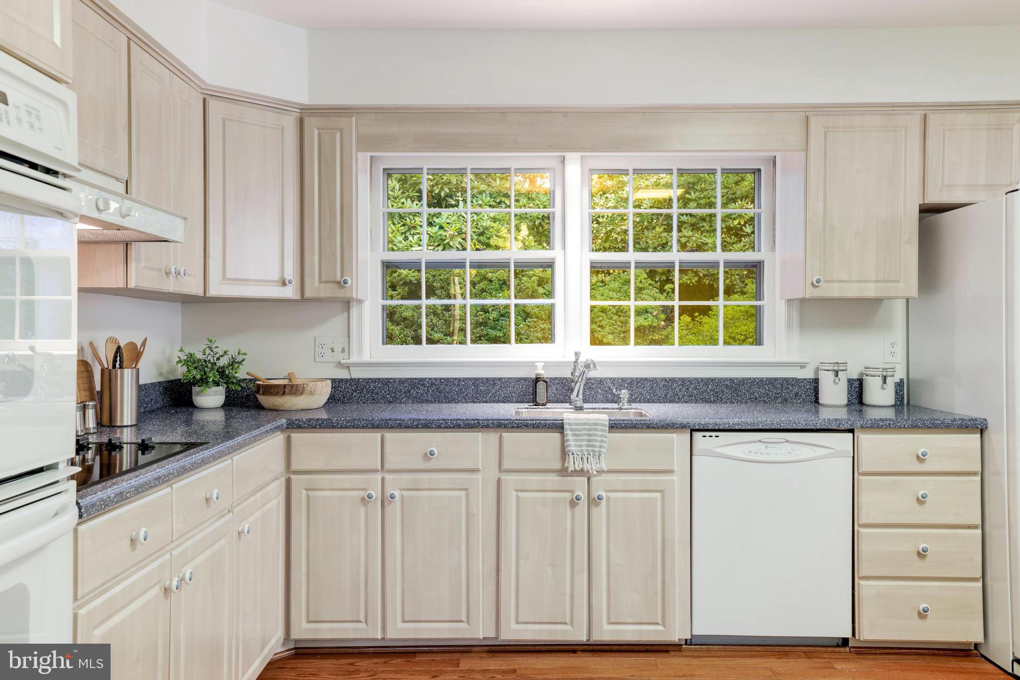 CHAIN BRIDGE FOREST - Residential