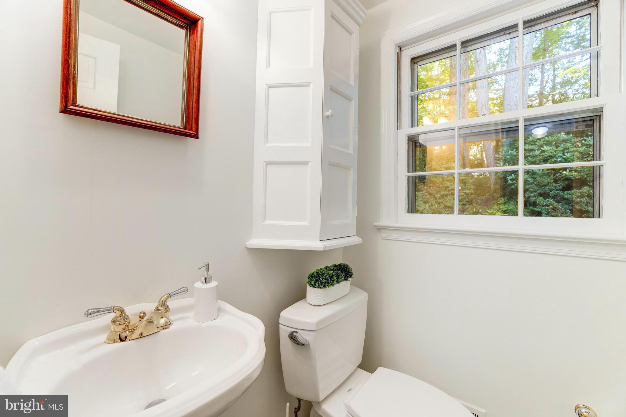 CHAIN BRIDGE FOREST - Residential