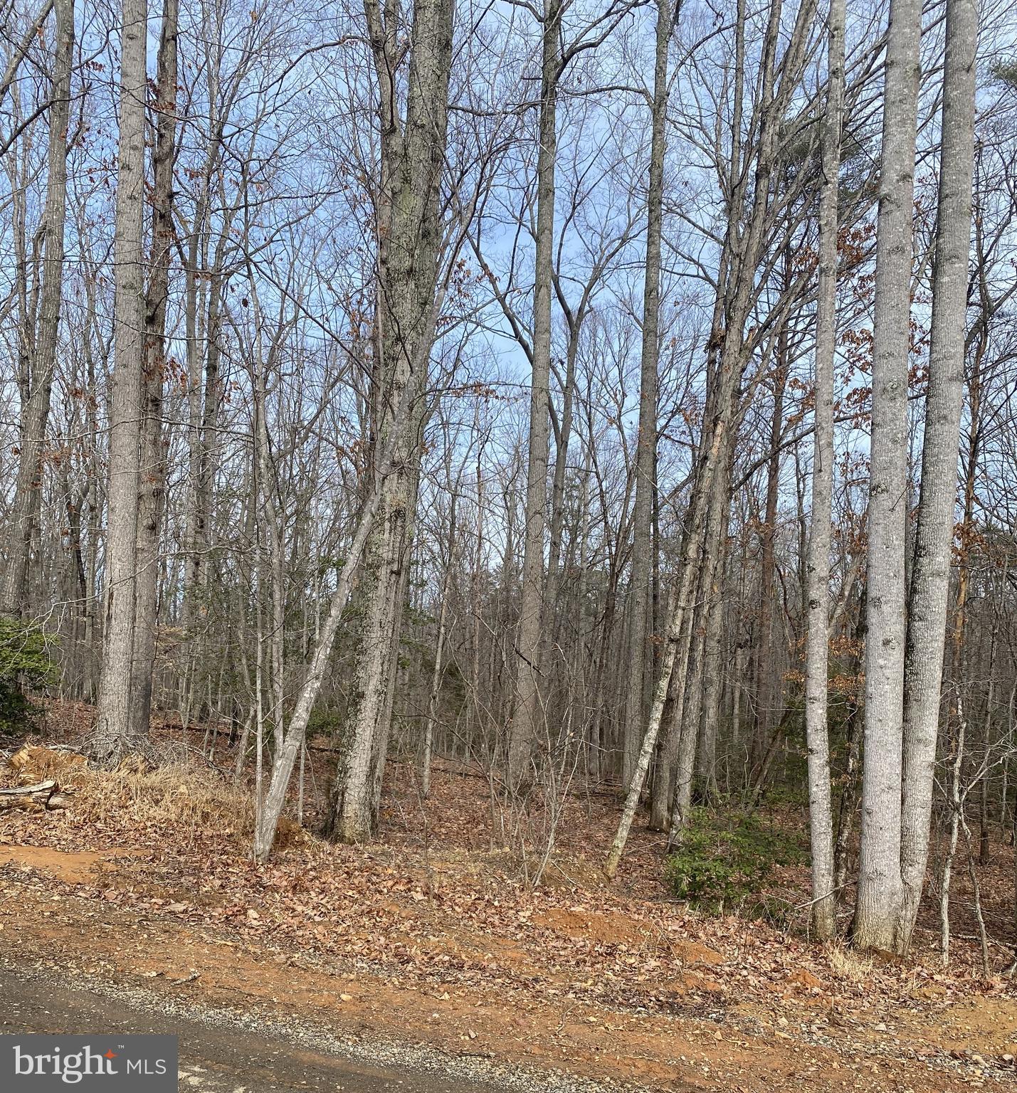 NONE AVAILABLE - Land