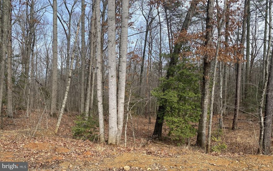 5-Acre Parcel: Featuring hardwood trees, a stream meandering across the back of the property, and ample privacy to build your home and enjoy family gatherings.