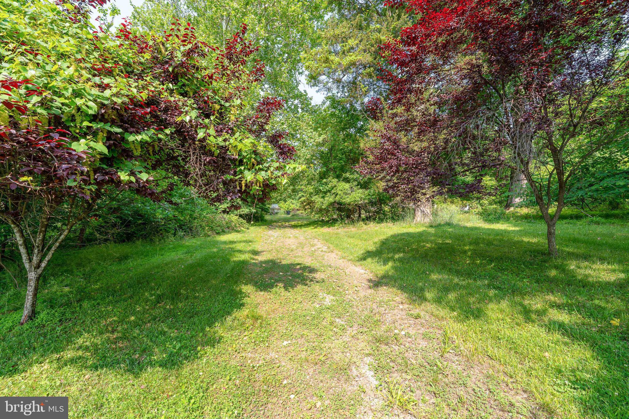 BELVIDERE ESTATES - Land