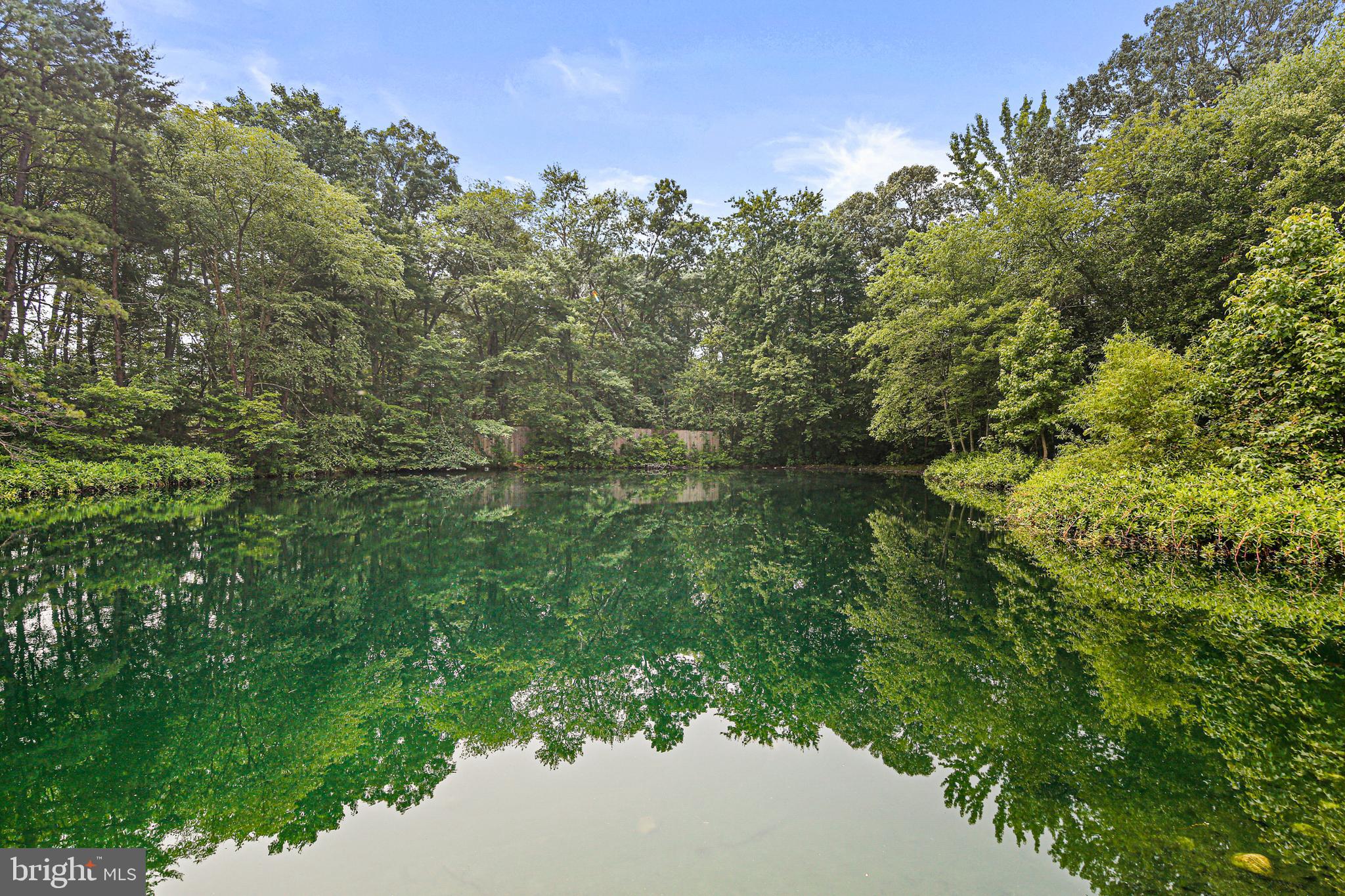 RESERVE AT PONDVIEW - Residential