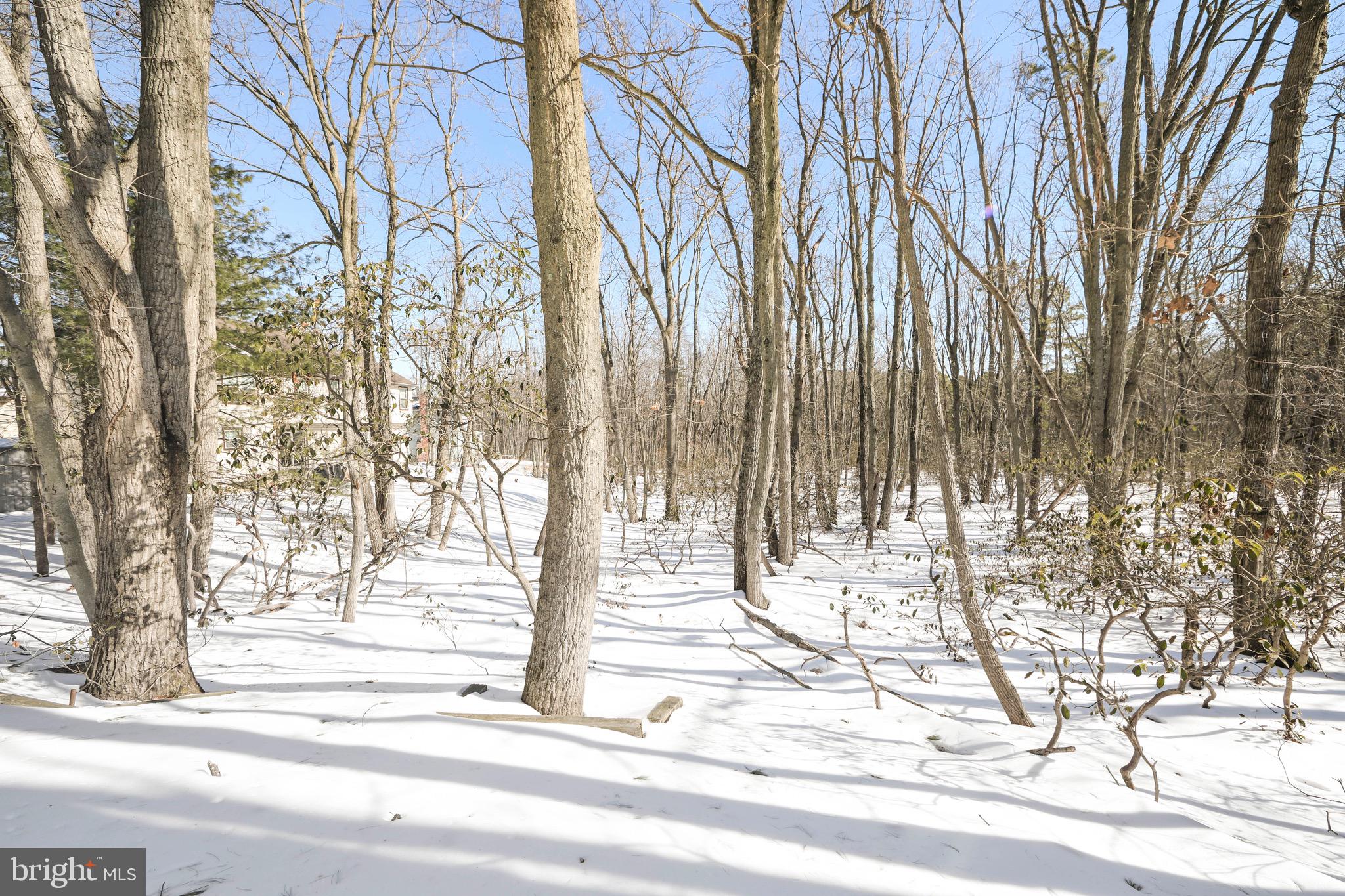 ACORN HILL - Residential