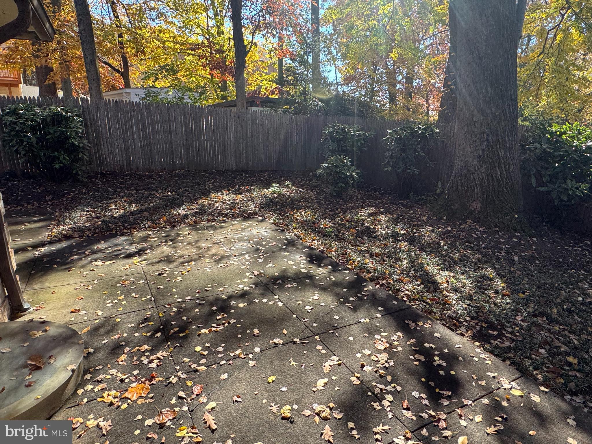 RAVENWOOD - Residential Lease