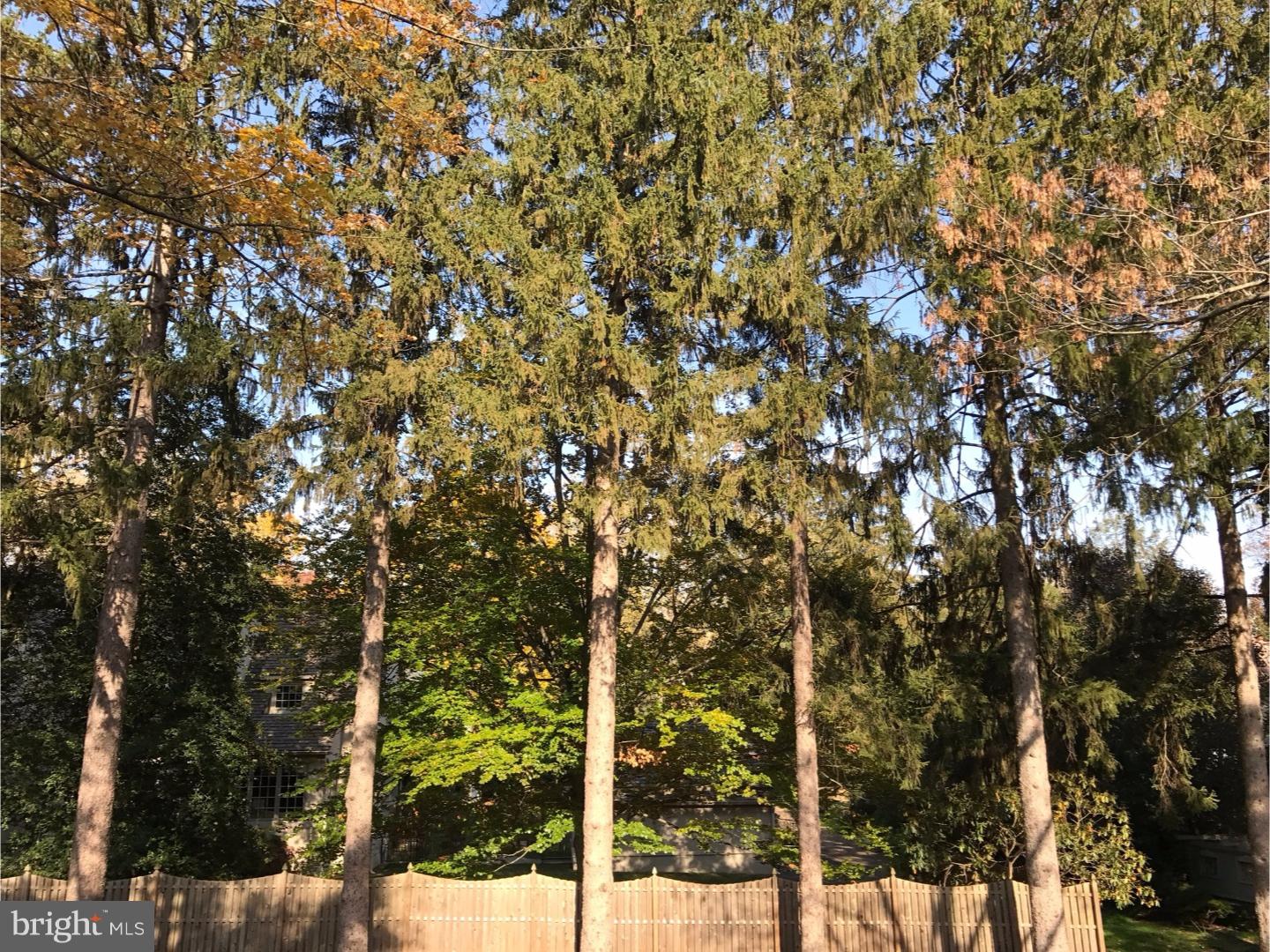 CHESTNUT GROVE - Residential Lease