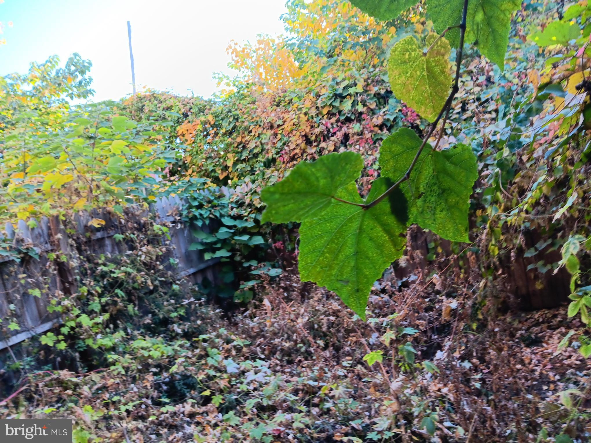 BELMONT - Residential