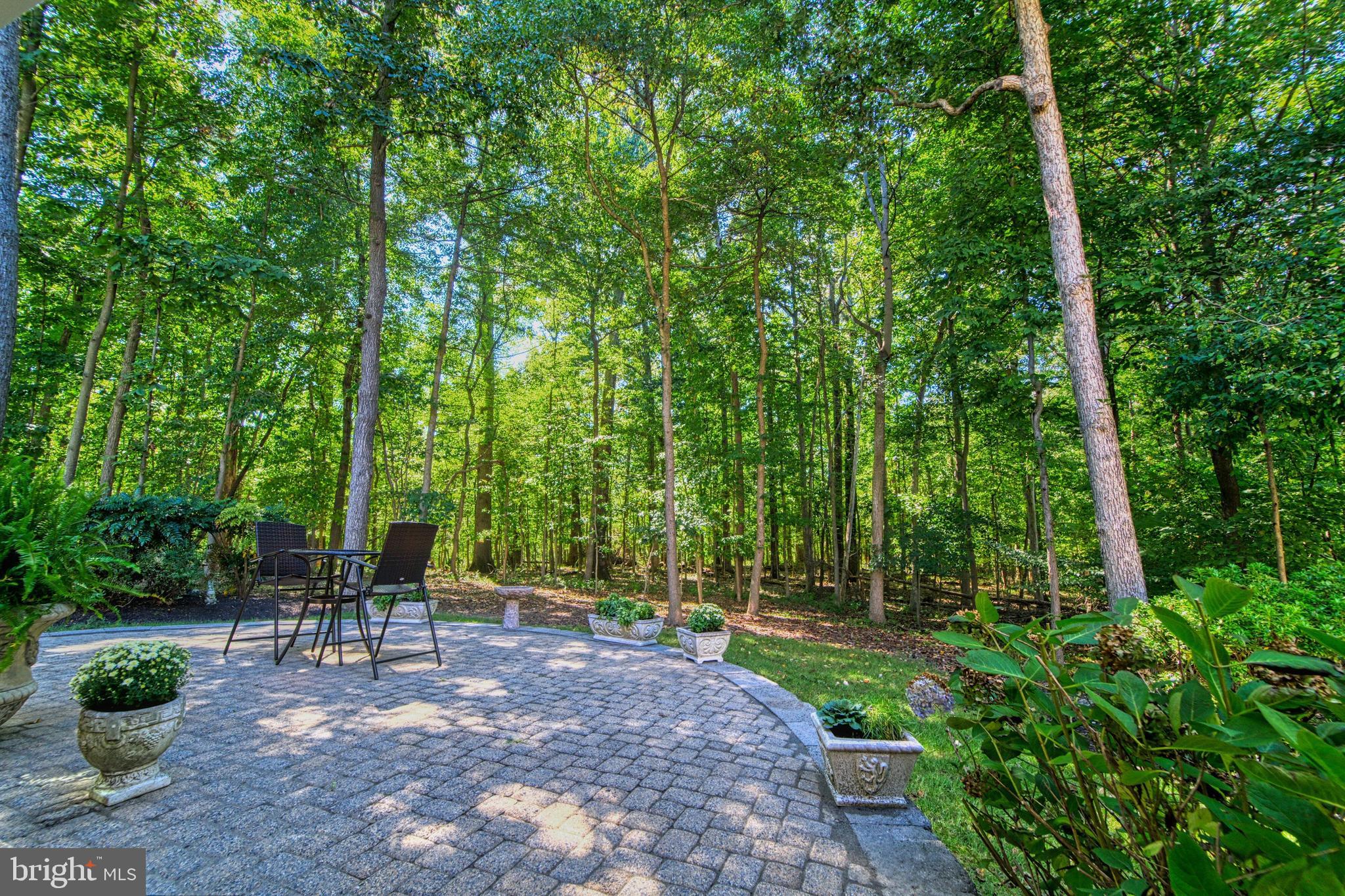 MANORS OF PAINT BRANCH - Residential