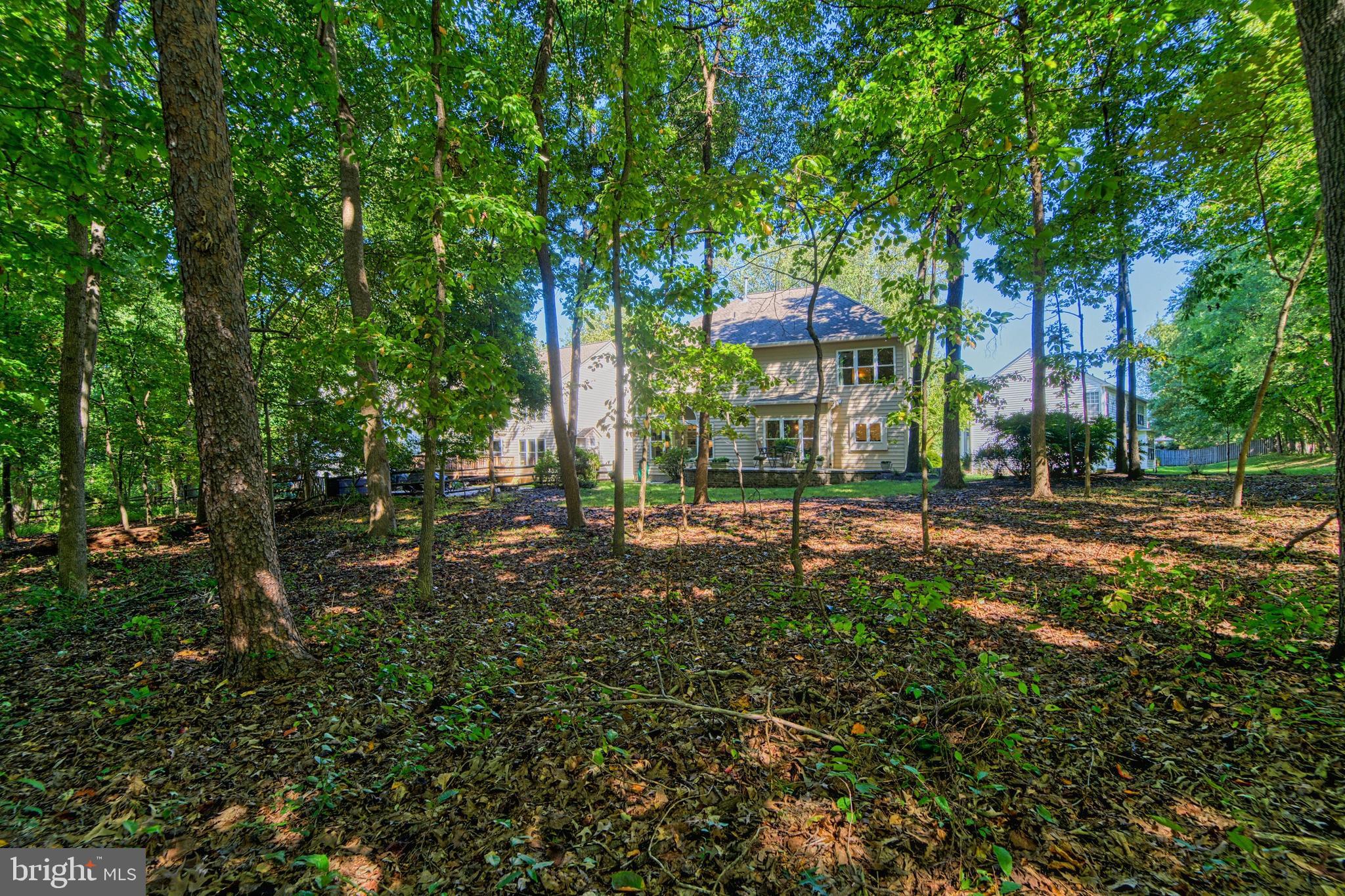 MANORS OF PAINT BRANCH - Residential