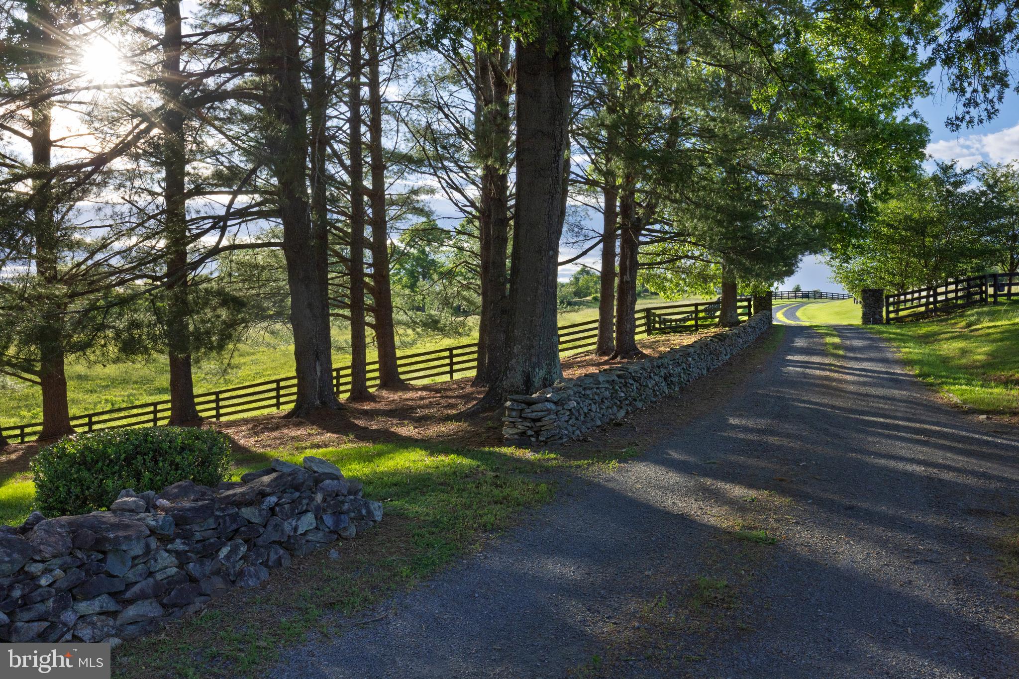 MIDDLEBURG - Residential