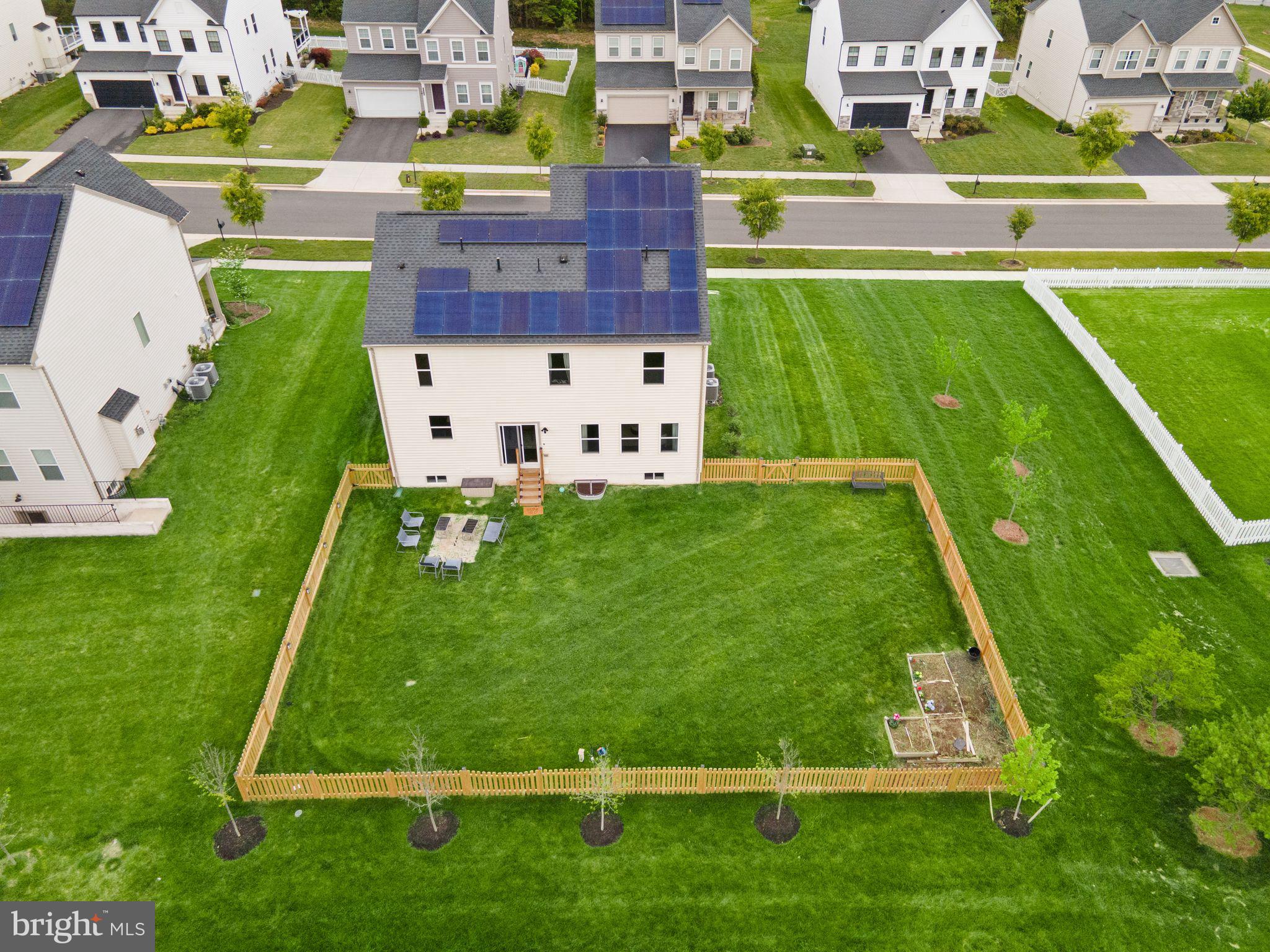 25029 STRIPED MAPLE DRIVE