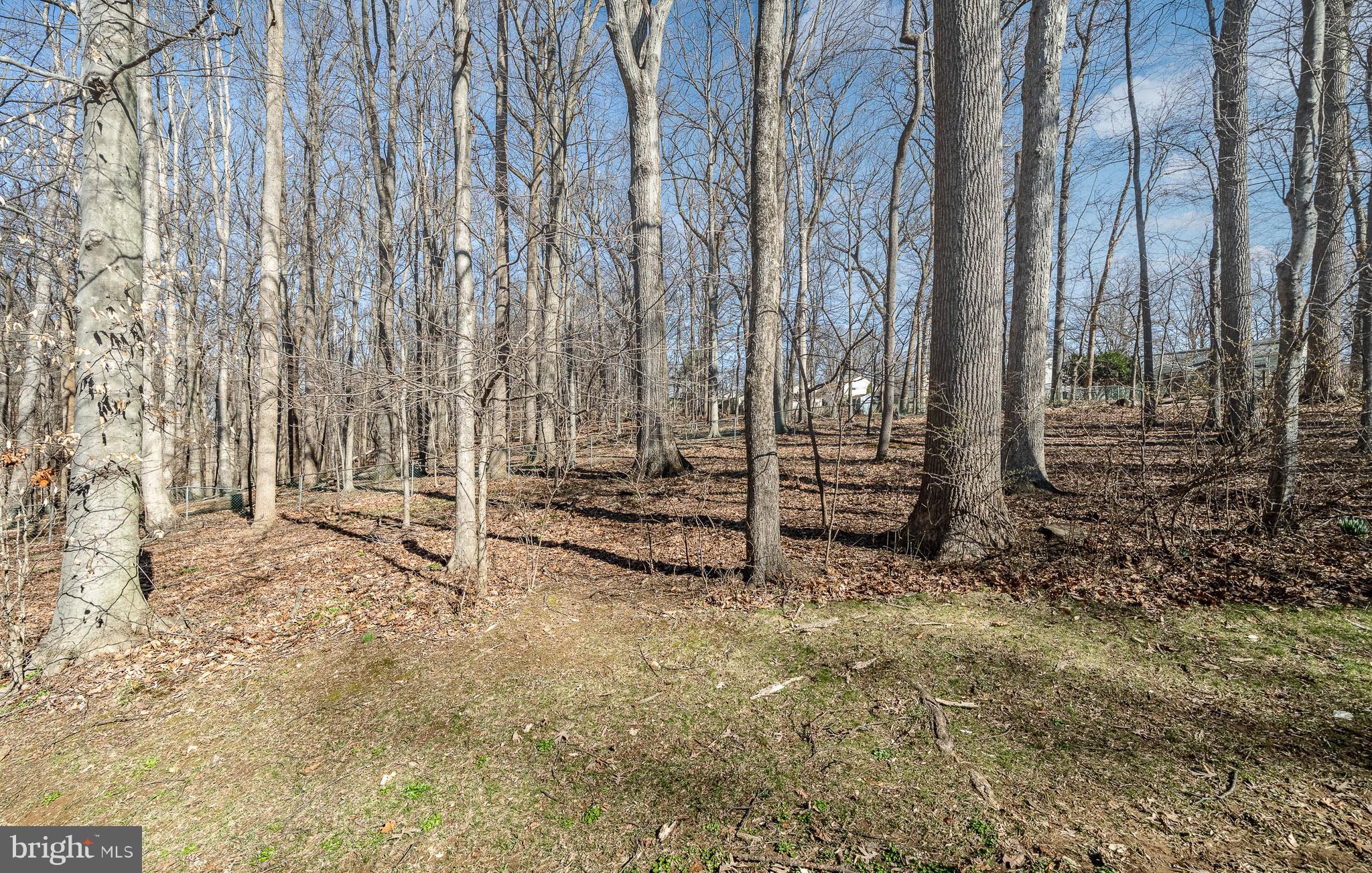 RUSTMONT - Residential