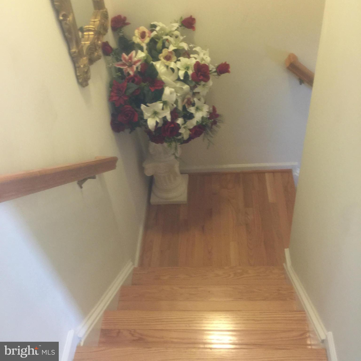 RIVER OAKS - Residential