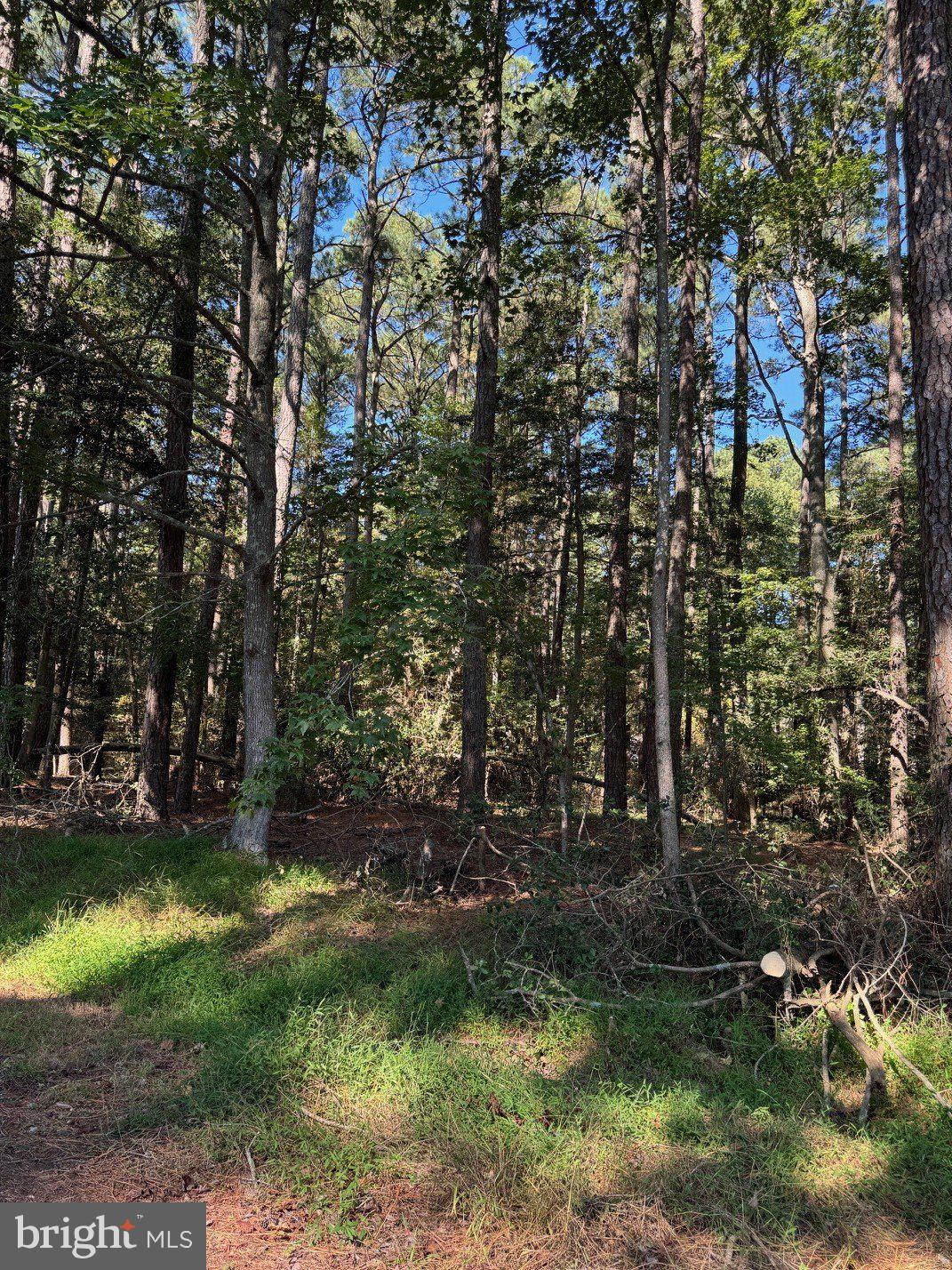 Lot 871 BROADSIDE DRIVE