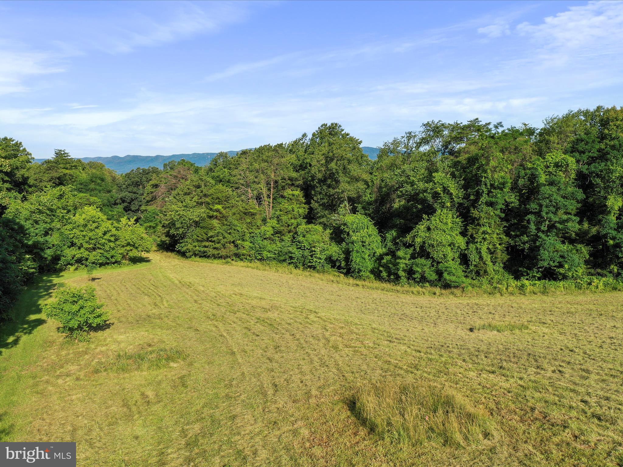 ROCKY LANE