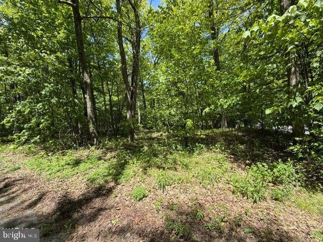 116 TIMBERMAN ROAD