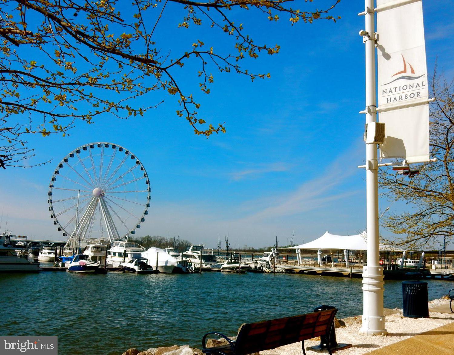 PINE TREE - Residential