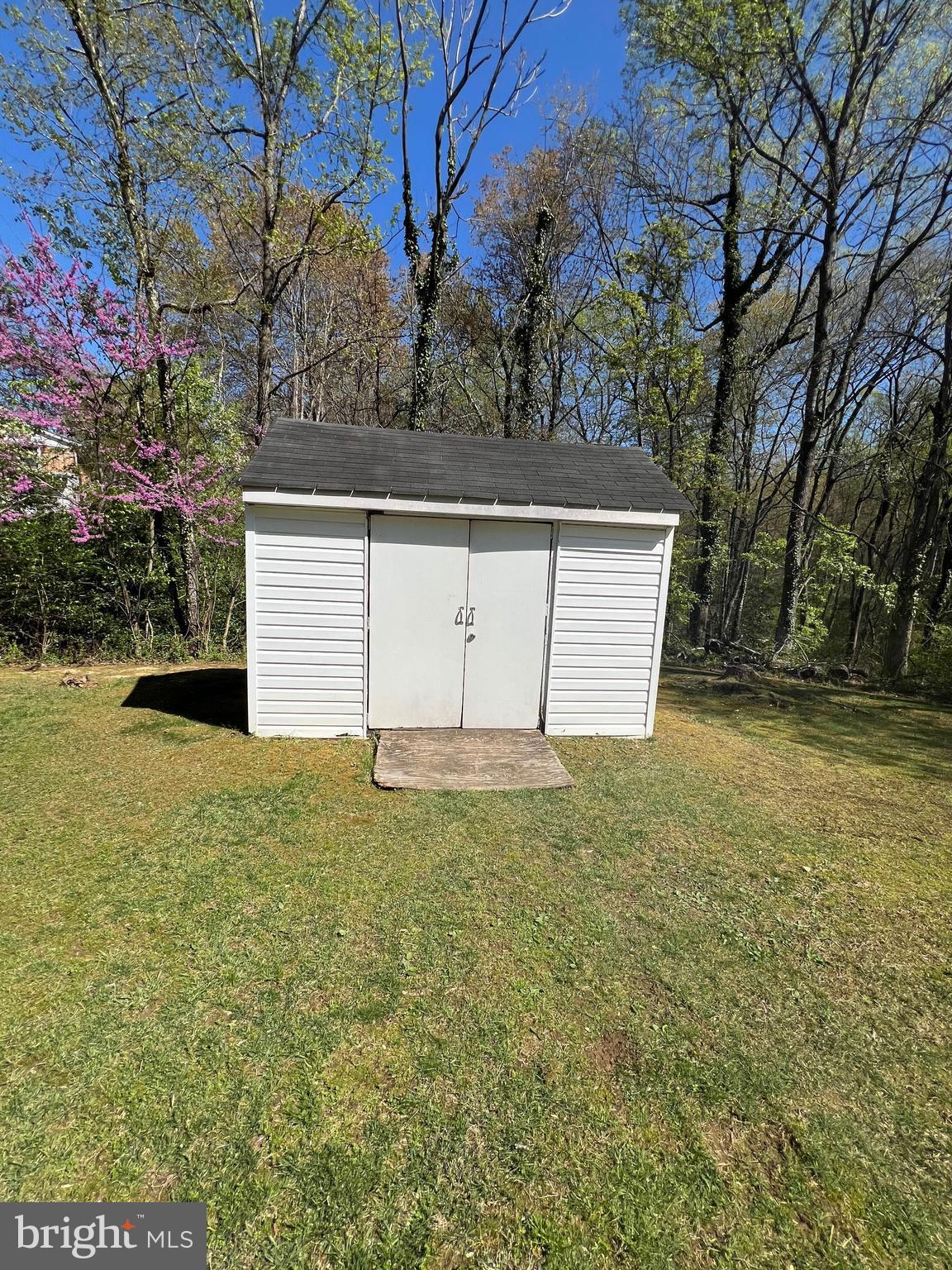 PINE TREE - Residential