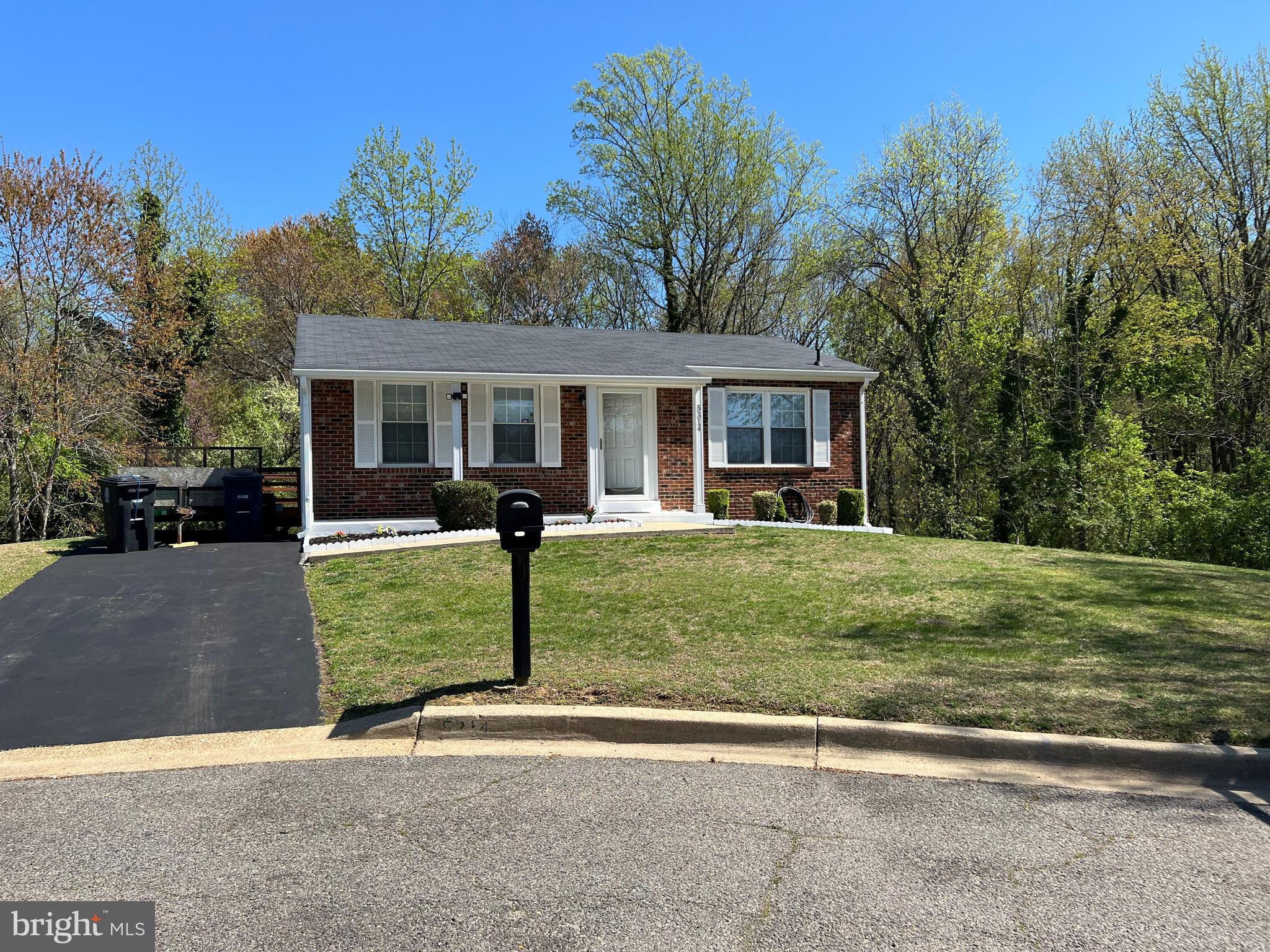 PINE TREE - Residential