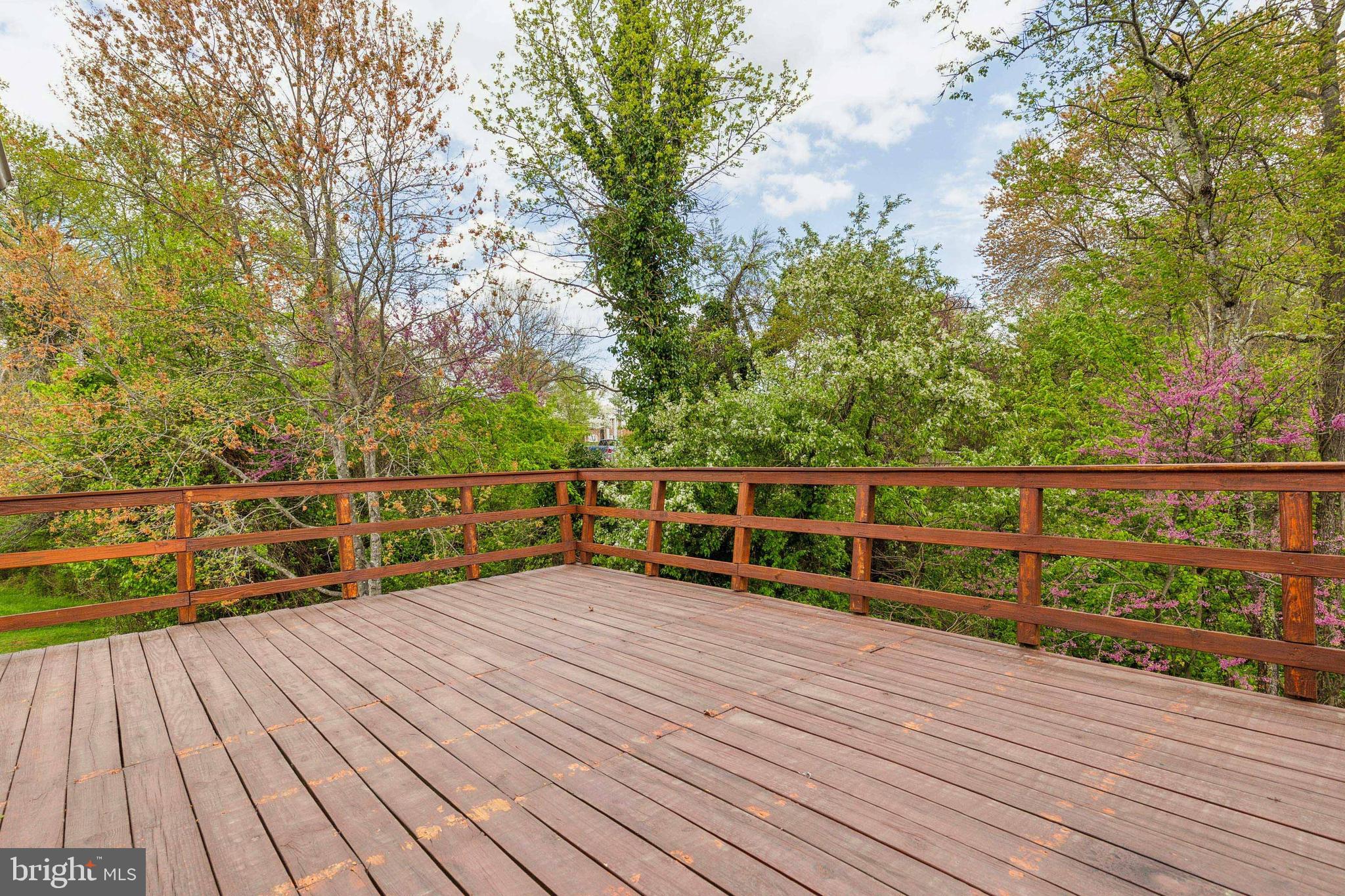 PINE TREE - Residential